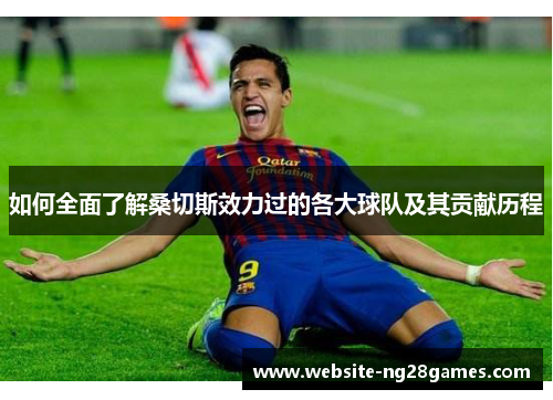 如何全面了解桑切斯效力过的各大球队及其贡献历程 如何全面了解桑切斯效力过的各大球队及其贡献历程