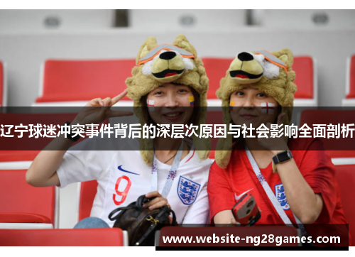 辽宁球迷冲突事件背后的深层次原因与社会影响全面剖析