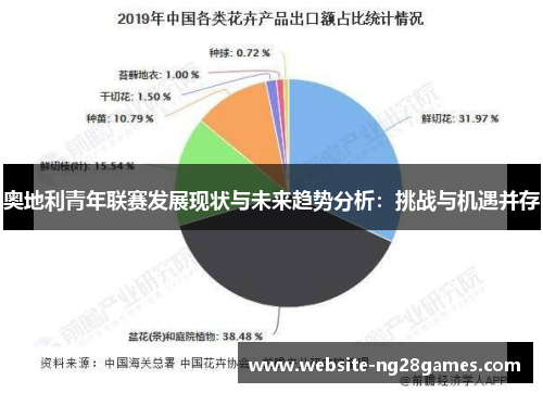 奥地利青年联赛发展现状与未来趋势分析:挑战与机遇并存 奥地利青年联赛发展现状与未来趋势分析:挑战与机遇并存